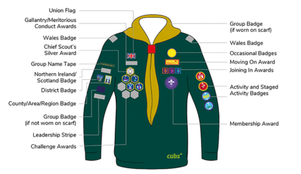 cub_badge_placement